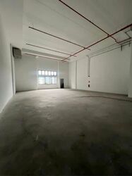 Ct Foodnex (D25), Factory #622089441